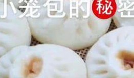 爆料视频包子